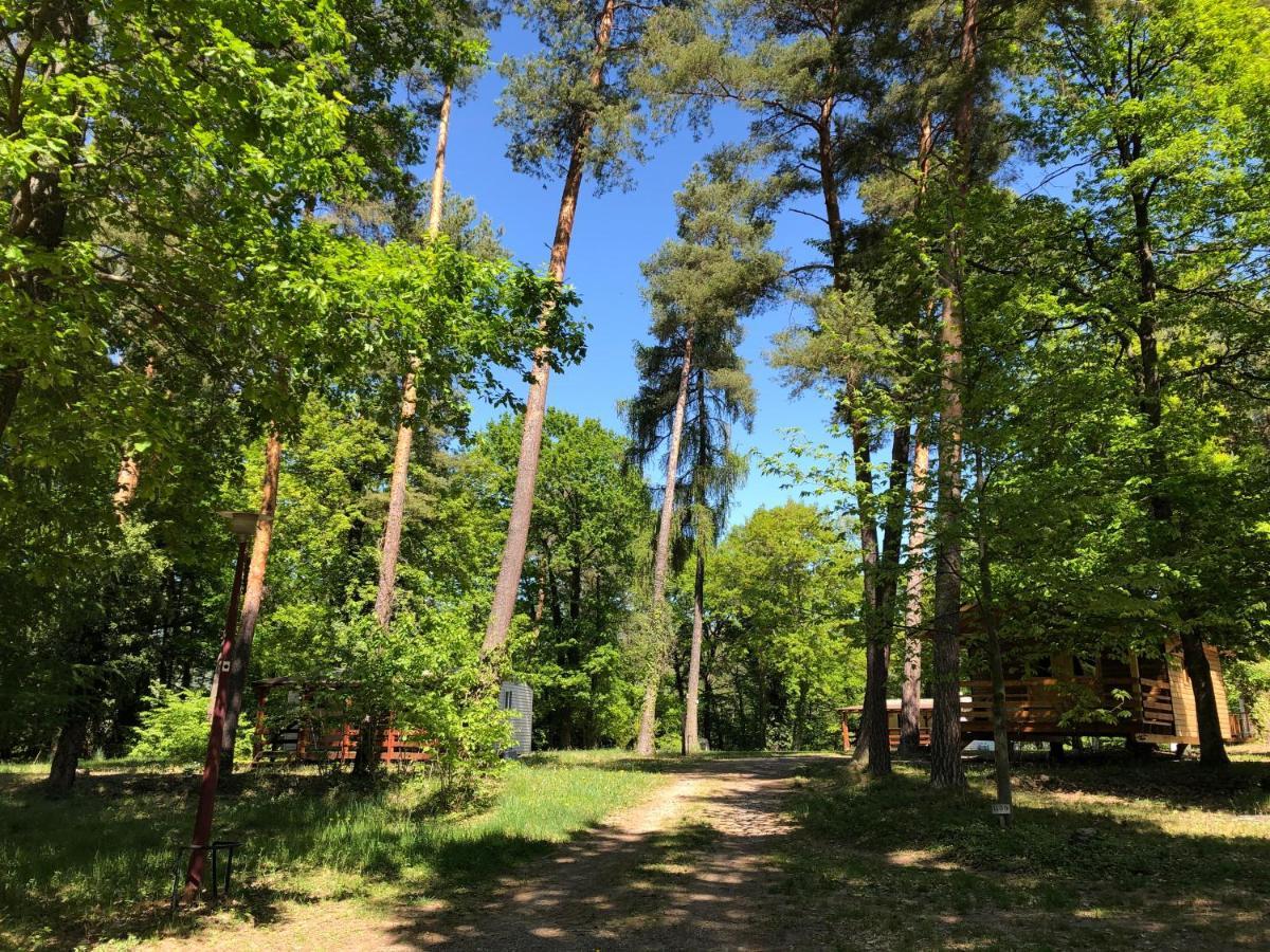 Camping Osenbach Exterior foto